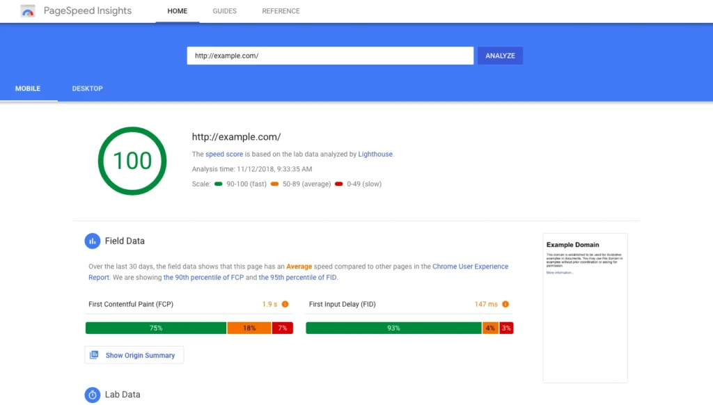 Google PageSpeed Insights Score Showing a Perfect 100