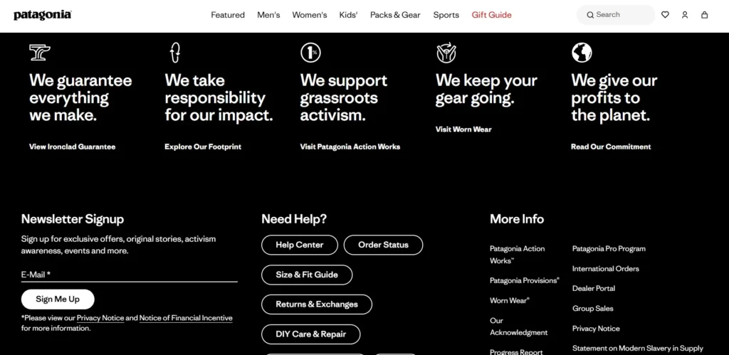 Patagonia Website
