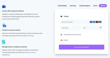 Custom development