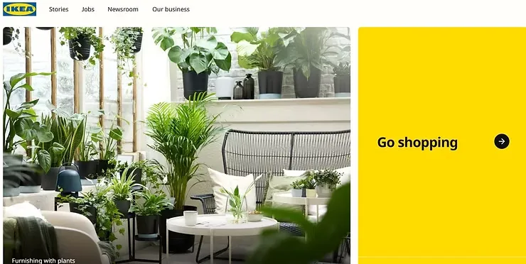 Brand Color Identity