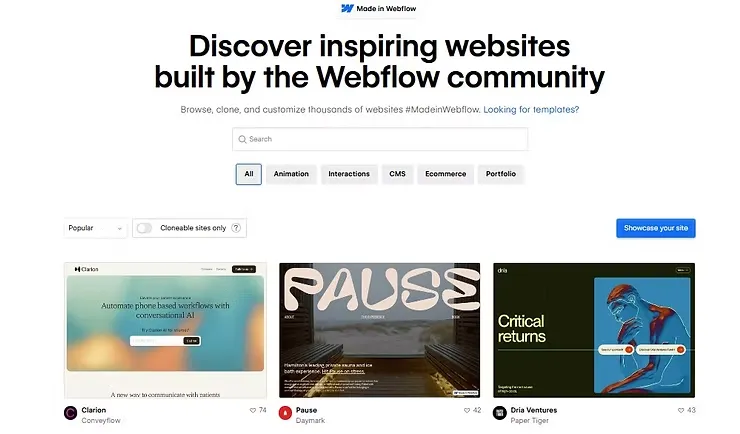 Website Design Trends