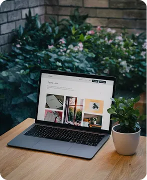 Website Design & Development
