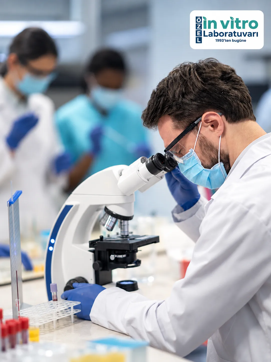 invitro content case